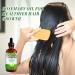 Rosemary Oil for Hair Growth Natural Rosemary Oil Nourishes the Scalp for Hair Regrowth & Hair Thickening - Hair Loss Prevention(120ml) - Buy Online on SooperMarket.com