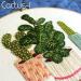 Highkick Cactus Series Embroidery Starter Kit for Adults - Stamped Pattern, Floss, Needles, and Hoop Included! Perfect for Beginners - Buy Online on SooperMarket.com
