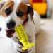 Shenrongtong Dog Toy for Teeth Grinding - Classic Sound Dog Toothbrush for Puppies | Veterinary-Approved Dog Dental Care | Ideal for Animal Shelters & Pet Shops - Buy Online on SooperMarket.com