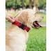 Joytale Tactical Dog Collar for Large Dogs | Durable with Handle & QR Code Tag | Premium Red Dog Collar - International Shipping Available - Buy Online on SooperMarket.com