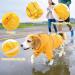 FUAMEY Dog Rain Coat | Lightweight Waterproof Rain Jacket with Transparent Brim | Reflective Dog Rain Poncho | Leash Hole | Yellow Slicker Raincoat for Small Medium Dogs Cats | Large Breed (14-23lb) - Buy Online on SooperMarket.com