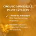 L'OCCITANE Immortelle Divine Cream 50 ml | Vegan & 93% Readily Biodegradable | Natural Alternative to Retinol | Luxury & Clean Beauty Anti-Ageing Moisturizer For All Skin Types - Buy Online on SooperMarket.com