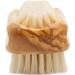 Premium Boar Bristle Nail Brush | Olive Wood Handle | Made in Germany - Buy Online on SooperMarket.com