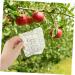 Mipcase 2pcs Square Apple Molds Fruit Vegetable Molds for Gardening Melon Stereotypes Plastic - Buy Online on SooperMarket.com