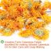 Buy 100% Natural Calendula Tea - Herbal Marigold Flower Tea for Weight Loss | Organic Chinese Flower Tea 35g - Buy Online on SooperMarket.com
