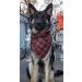 Lionet Paws Dog Bandana - Red & Green Checked Triangular Scarf for Small Medium & Large Dogs - Pack of 1 - Buy Online on SooperMarket.com