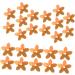 Operitacx DIY Sequins 4 Sets Sequined Floral Beads Decor Apparel Sequins Diy Craft Sequins Accessories Jewelry Clothing - Buy Online on SooperMarket.com
