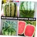 Uonlytech Watermelon Shaping Fruit Tools Pumpkin Growing Molds for Garden Vegetable Shaping Tool Watermelon Modeling Big Rod 15x15cm Transparent - Buy Online on SooperMarket.com