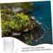 Toddmomy Pet Water Feeder Ant Water Drinking Cup Ant Watering Cup Ants Waterer Ant Feed Bowl to Feed Animal - Buy Online on SooperMarket.com