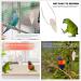 6 Pieces Bird Cuttlebone Toys Parrot Chew Calcium Toy Chewing Cuttlefish Bone with Metal Holder Bird Pet Molar Toy for Parrots Cage Birds Reptiles Tortoises Snails - Buy Online on SooperMarket.com