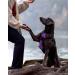 Joytale Reflective Dog Harness for Medium Dogs - Soft Padded Adjustable & Breathable with Control Handle - Purple (1 Pack) - Buy Online on SooperMarket.com