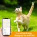 Lafayi 2 Pack Airtag Cat Collar with Bell | Reflective GPS Tracker Case | Personalized Safety Clasp Collars for Cats - Orange - Buy Online on SooperMarket.com