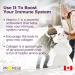 Promise Liposomal Vitamin C 1000 mg - 90 Soft Gels - Superior Immunity Support & Collagen Production - Enhances Skin Muscle & Joint Health - Canadian-Made for Antioxidant Protection & Radicals Defense - Buy Online on SooperMarket.com