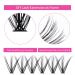 40D Individual Cluster Eyelashes for Extensions - 0.07 D Curl Mix 15-20mm - Perfect for Beginners | Artificial Eyelashes - Buy Online on SooperMarket.com
