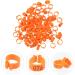 FOMIYES 300 Pcs Pigeon Anklet Ring Protector Parrot Leg Ring Foot Ring for Pigeon Xuan Feng Birds Baby 1.3X1.3CMx3pcs Orangex3pcs - Buy Online on SooperMarket.com