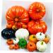 IMIKEYA 6pcs Halloween Pumpkin Crafts Halloween Foam Pumpkins White Pumpkins Orange Decor Simulation Artificial Pumpkin Painted Pumpkins Fake Pumpkins Diy Shape Mini Decorations - Buy Online on SooperMarket.com