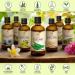 Aloe Vera Pure Oil 100ml - Aloe Barbadensis Brasil - Skin, Face & Baby Oil - Glass Bottle - Buy Online on SooperMarket.com