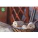 Organic Brown Teff Flour 3kg - GMO Free, Vegan, High Fibre, Protein Source | Certified Organic | Wholefood Earth - Buy Online on SooperMarket.com