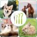Emwel Tick Remover Tools for Dogs 4Pcs Stainless Steel Painlessly Tick Professional Tick for Dogs Cats Horses and Humans Pets Green - Buy Online on SooperMarket.com
