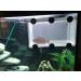 Large Fish Breeder Net with Suction Cups - Nylon Mesh Hatchery Isolation Box for Aquarium Tank - Buy Online on SooperMarket.com