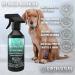 Dirtbusters Pet Odour Eliminator Spray - Enzymatic Deodoriser Wild Fig & Cassis 500ml - Buy Online on SooperMarket.com