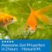 API PROPER pH 7.5 Freshwater Aquarium Water pH Stabilizer 260 g Container - Buy Online on SooperMarket.com