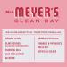 MRS. MEYER'S CLEAN DAY Peppermint Liquid Dish Soap - Biodegradable Limited Edition 16 fl. oz - Eco-Friendly Cleaning Solution for International Shipping - Buy Online on SooperMarket.com