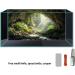 Didooou 3D aquarium background picture aquarium PVC glue aquarium decorative stickers boutique aquarium stickers (cave-3 50 * 100cm) 50*100cm cave-3 - Buy Online on SooperMarket.com