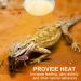 REPTI HOME Reptile Heat Lamp Bulbs 2 Pack 100W Heat Lamp for Reptiles E27 Basking Light Bulb for Vivarium Turtle Lizard Tortoise Bearded Dragon Puppy Chick - Buy Online on SooperMarket.com