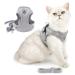 Ranphy cat dishes with leash breakpuff -proof reflective padding chest harness puppy puppy dishes step in soft network fabric dishes for small cat adult cats gray s s (breast size: 34 cm) gray
