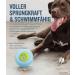 Outward Hound Planet Dog Orbee-Tuff Nooks - Paw Print Dog Treat Toy - Green (Compatible with Snoop) - International Shipping Available - Buy Online on SooperMarket.com