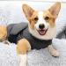 Felenny Dog Anxiety Vest Breathable Soft Clothes Wrap Shirt Relief Calming Coat for Small Medium Large Dogs XXL - Buy Online on SooperMarket.com