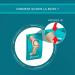 COMPEED Pansements Ampoules Moyen Format (5 pansements) - Buy Online on SooperMarket.com
