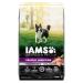 IAMS Advanced Health Dog Food Dry Healthy Digestion Adult Chicken & Whole Grain Recipe 12.2kg (27LB) Bag 12.2 kg (Pack of 1) Dog Food