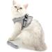 Ranphy Cat Dishes with Leash - Breakproof Reflective Padding Harness for Small Cats | Soft Fabric Puppy Dishes | XS Size (Chest 26 cm) - Gray - Buy Online on SooperMarket.com