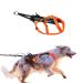 Non-Stop Dogwear Freemotion Harness 5.0 Black/Orange - 5 Orange/Black 5