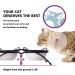 Y YHY Raised Ceramic Cat Food Bowls Set - 12 oz Elevated Pet Dishes with Stand for Cats and Small Dogs - Dishwasher Safe - Buy Online on SooperMarket.com