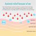 Terahertz Wave Physiotherapy Instrument Body Cell Heat Therapy Instrument Awakens The Absorption Capacity of Human Body Functions and Helps The Body Repair Itself - Buy Online on SooperMarket.com