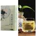 Scented Tea Flavor Herbal Tea Bags Scented Tea Repeatable Brew Refreshing Individually Packaged Herbal Tea for Summer - Buy Online on SooperMarket.com