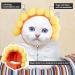 Weewooday 5 Pieces Cat Hat Cat Costume Bunny Hat with Ears Funny Banana Pineapple Cat Hat for Cats and Small Dogs Kitten Puppy Party Costume Accessory Headwear(Cute Style) - Buy Online on SooperMarket.com