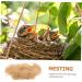 Yardwe BAST-Grasseide Gift Box for Wild Birds | Nesting Materials & Accessories | 22x12x4 cm - Buy Online on SooperMarket.com