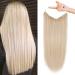 REECHO Invisible Wire Hair Extensions with Transparent Headband Adjustable Size Removable Secure Clips in Straight Secret Hairpiece for Women (24 Inch Light Blonde) 24 Inch (Pack of 1) Light Blonde