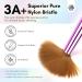 Saviland 5PCS Acrylic Nail Brushes Set - Sizes 8/10/12/16/18 for Acrylic Application Sparkling Rainbow Powder Brush & Holder - Perfect for Nail Extensions & 3D Carving - Buy Online on SooperMarket.com