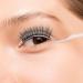 12 Pcs False Eyelashes Display Sticks - 3D Eyelash Extensions Applicator Tool for Easy Try-On & Grafting (Black & Transparent - Buy Online on SooperMarket.com