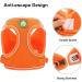 Buy Zhenle Adjustable Cat Harness for Small Animals - Perfect Fit & Comfort for Cats (M) - International Shipping Available - Buy Online on SooperMarket.com