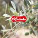 LA ESPA OLA - Extra Virgin Olive Oil Made from 100% Spanish Olives. 5 l Bottle - Buy Online on SooperMarket.com