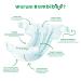 Bambibo Baby Diapers Size 1 (2-4kg) - Organic Cotton Disposable Diapers with Umbilical Neckline 84 Pieces - International Shipping Available - Buy Online on SooperMarket.com