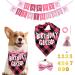 Dog Birthday Kit Dog Birthday Hat Bow Tie Band Pull Flag Scarf Number Stickers Cute Puppy Kitten Party Kit Reusable Suitable for Small Medium and Large Dog Pets(pink) - Buy Online on SooperMarket.com