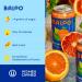 Buy Baloo Sparkling Water Variety Pack - Mood-Boosting Nootropic & Adaptogen Infused (12 oz Cans 12 Pack) - No Artificial Sweeteners Low Calorie Kosher Certified - Buy Online on SooperMarket.com