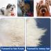 Professional Stainless Steel Pet Comb Rounded Teeth Dog Comb Fur Detangling Tool for Large Medium Small Dogs Cats Fur Detangling Tool (19cm x 3.5cm) - Buy Online on SooperMarket.com